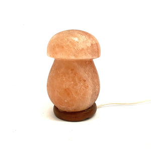 Lampe à sel de l'Himalaya, modèle champignon