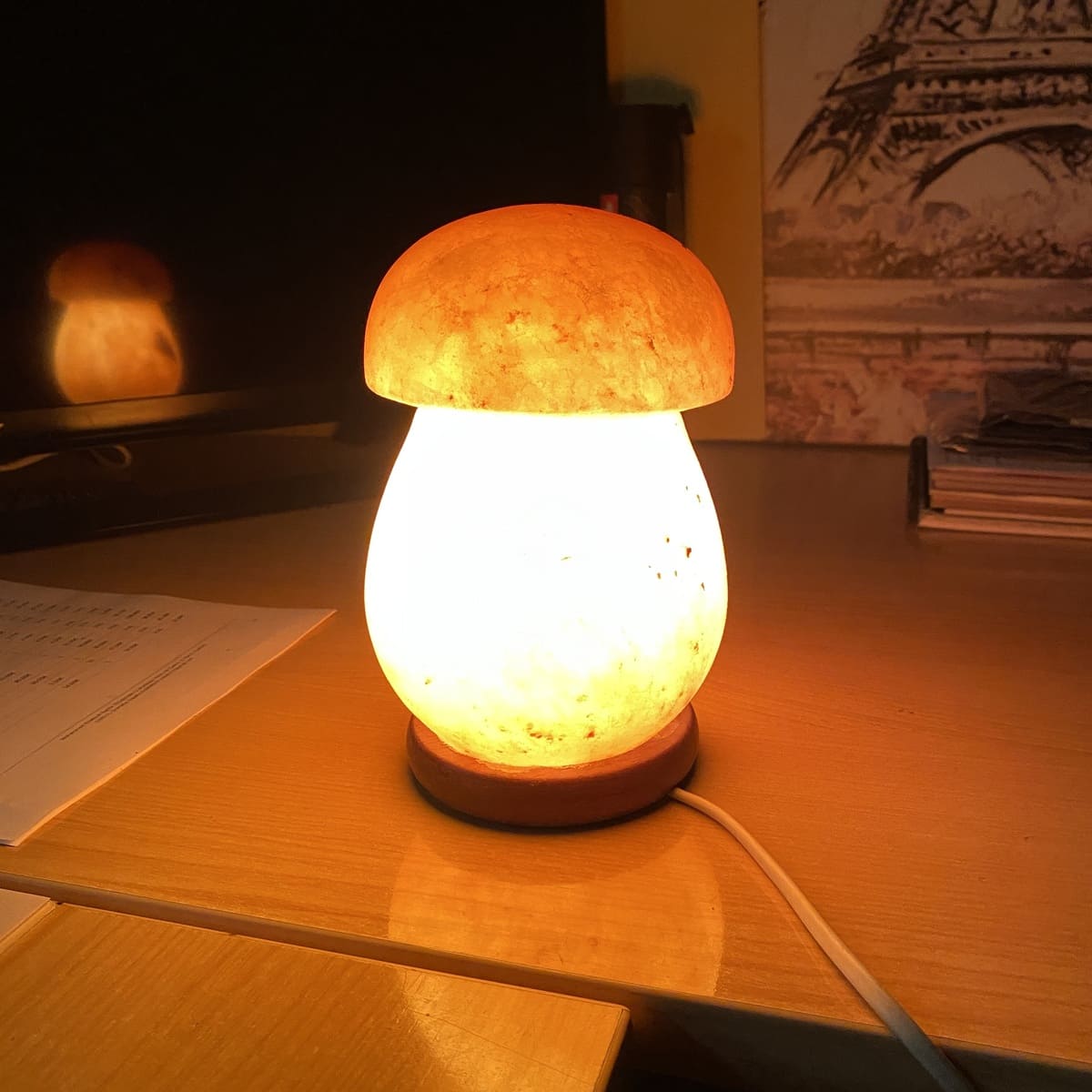 Lampe à sel de l'Himalaya, modèle champignon