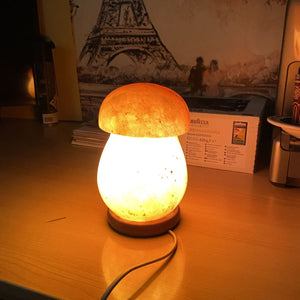 Lampe à sel de l'Himalaya, modèle champignon